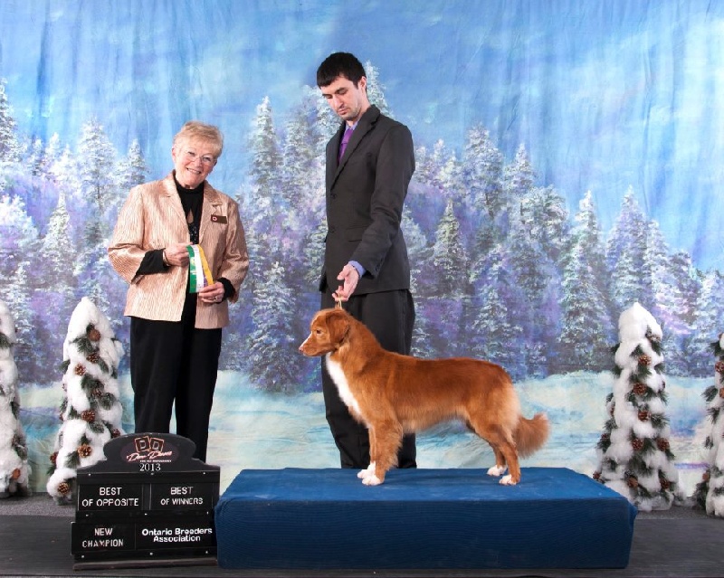 CH. Tuffntendr Ignite roaneden