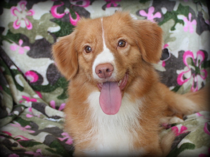 Tuffntendr Bulle de gum