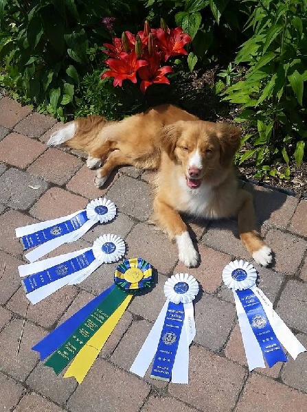 Tuffntendr What Dz T Fox Says pcd