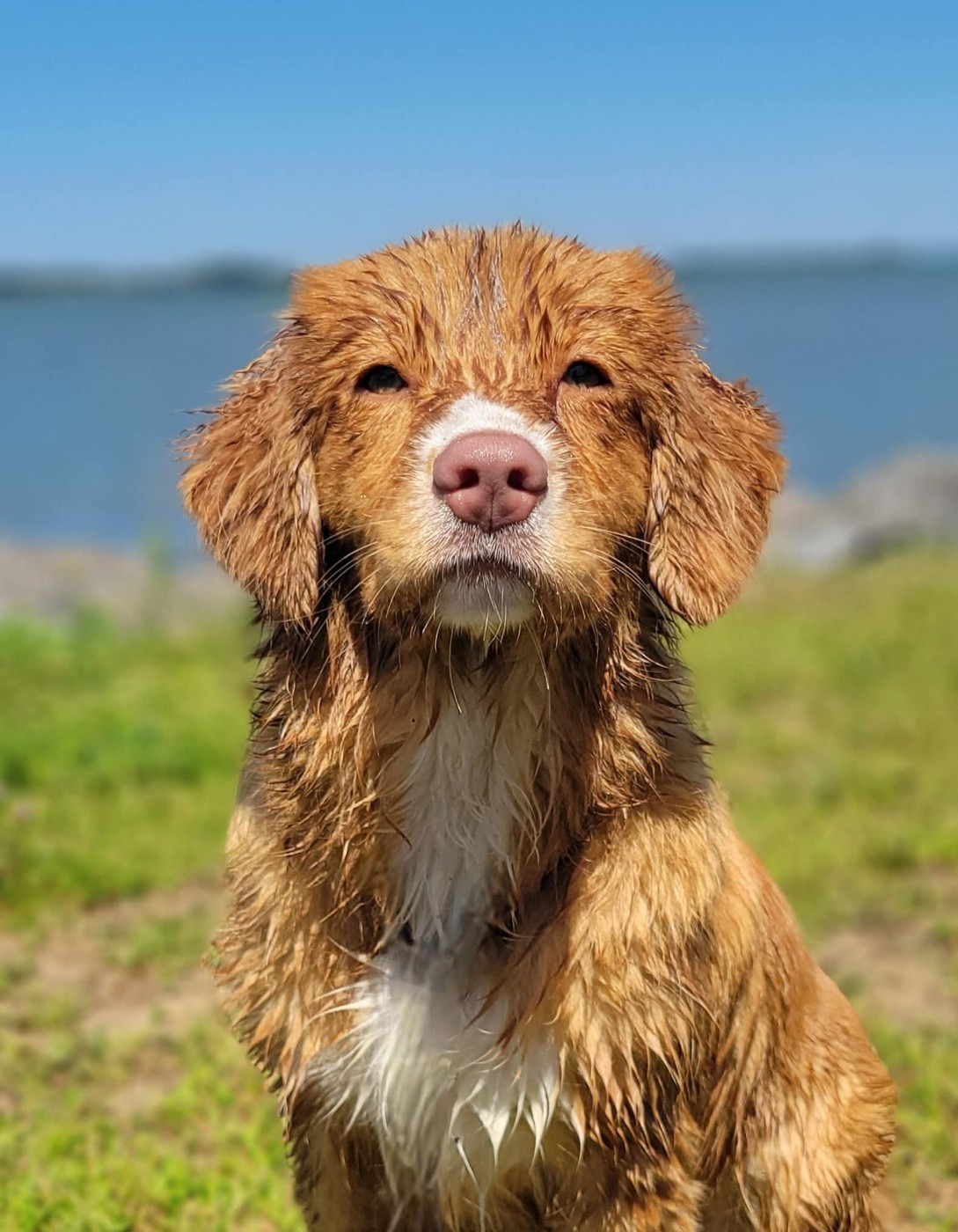 Tuffntendr Daughter of the Land