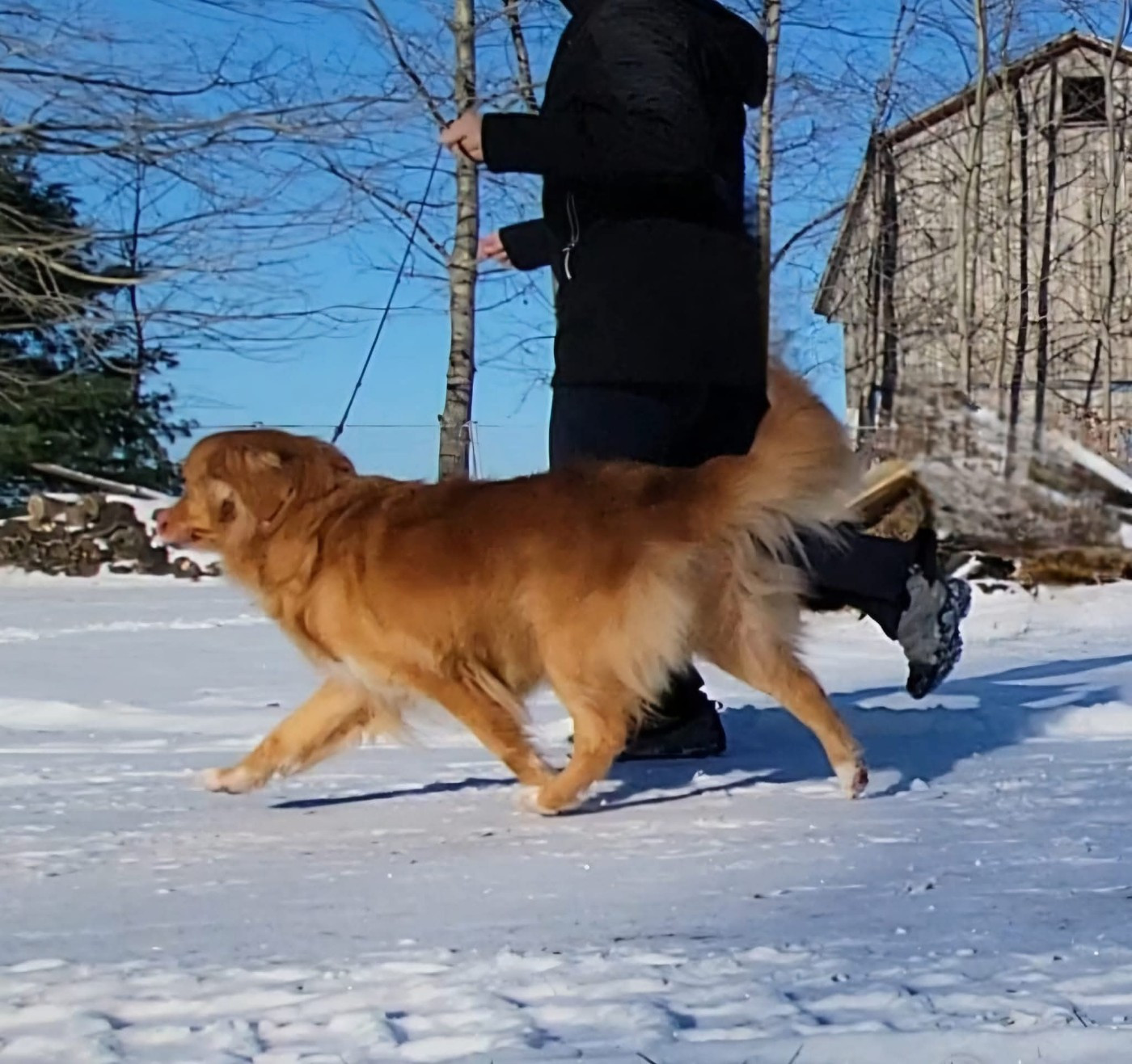 Tuffntendr Spice up your Life