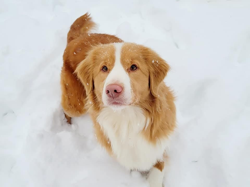 Tuffntendr Truth be Told