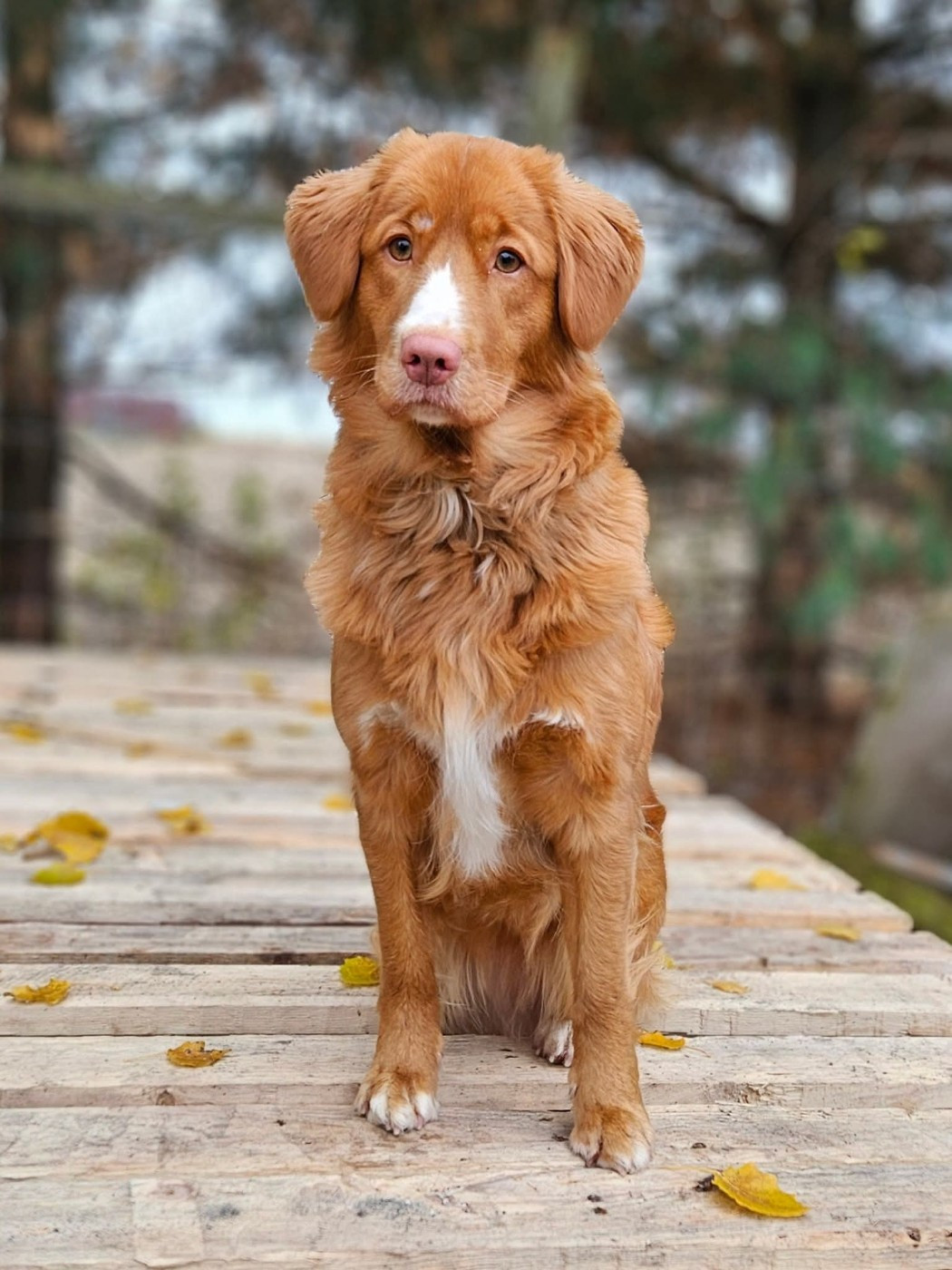 Tuffntendr Two Tikets Fr A Miracle by Four O'Clock