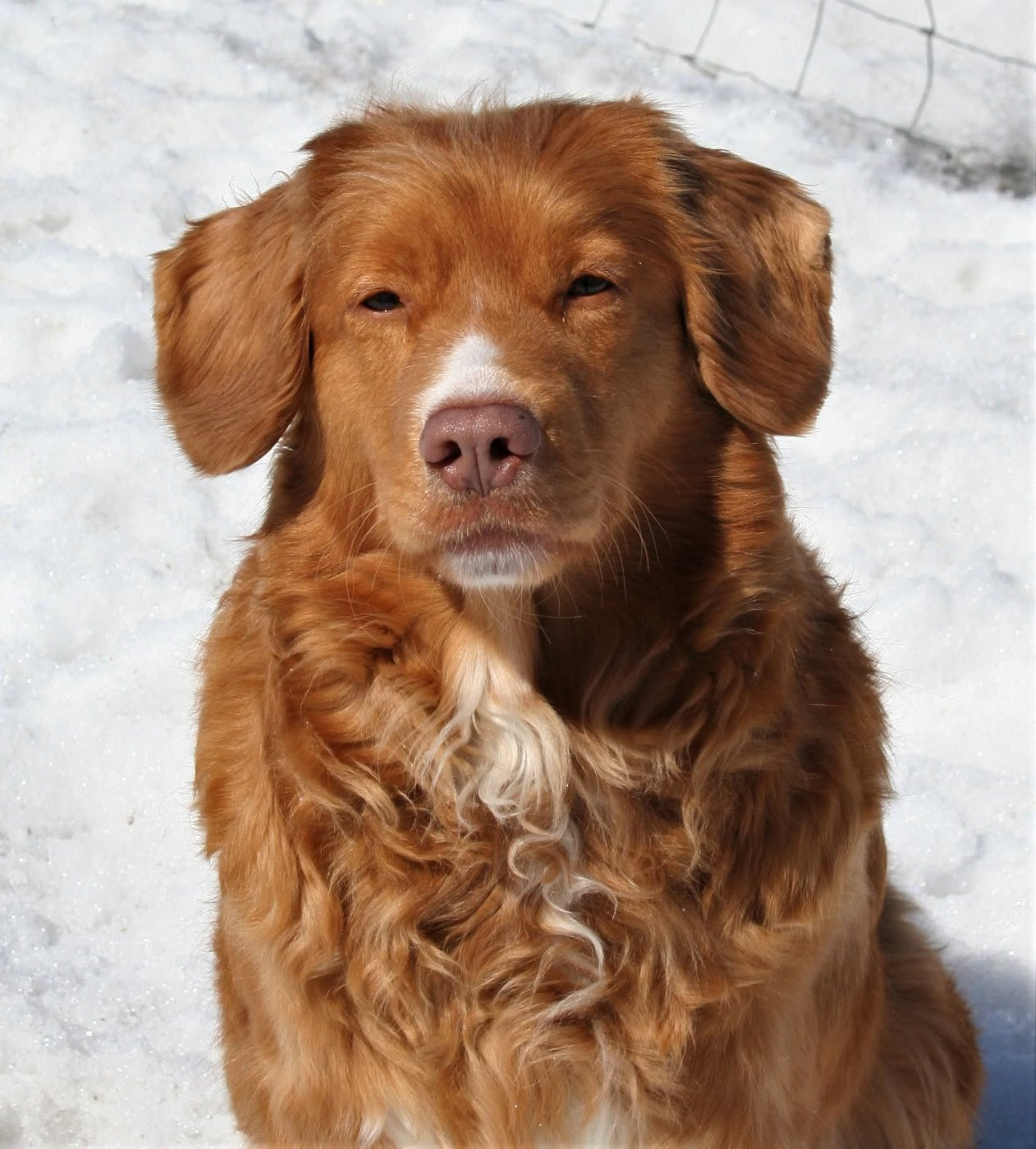 Tuffntendr Béa Béatrice