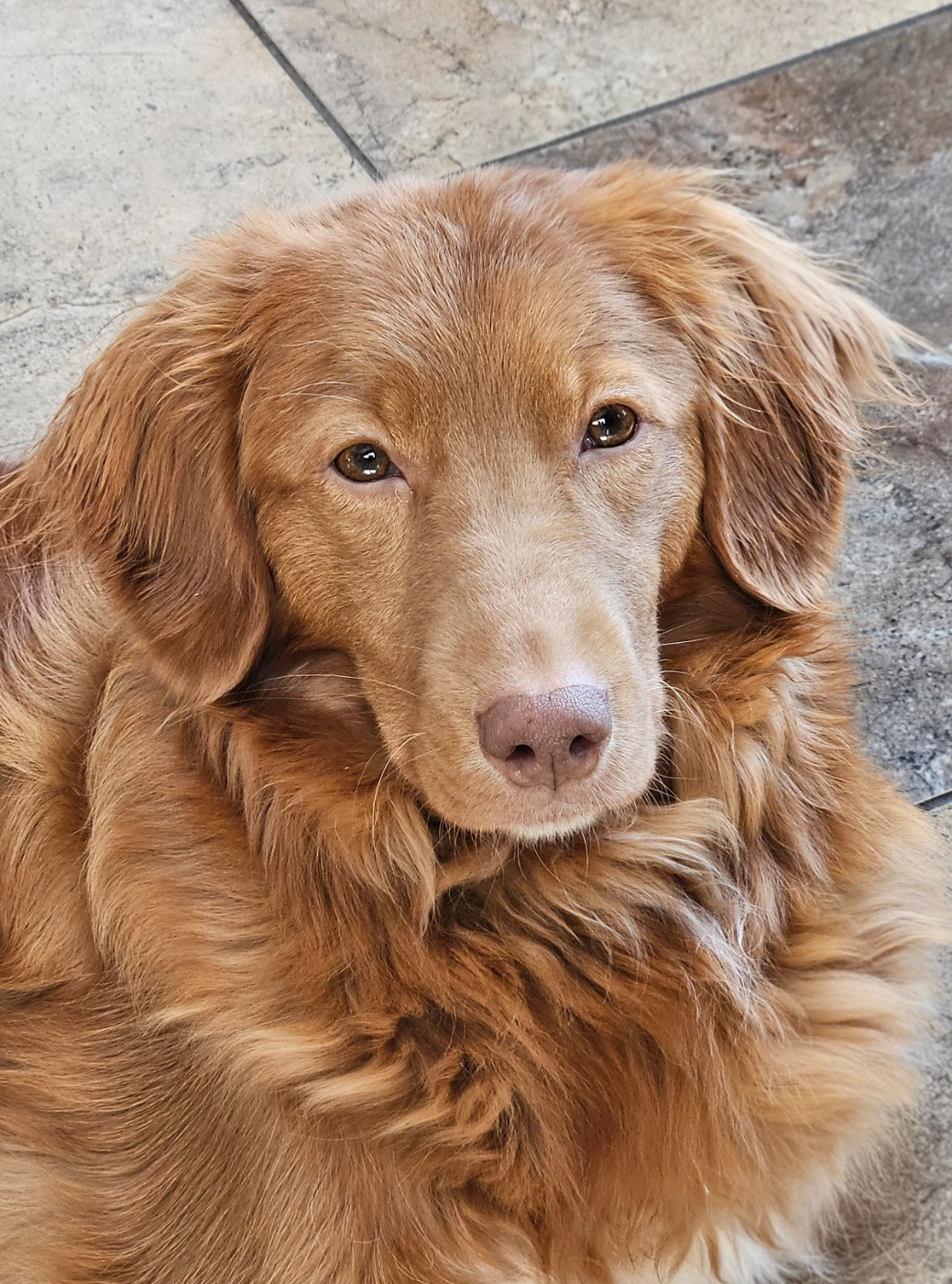 Tuffntendr Love Like an Earthkwack Rumble