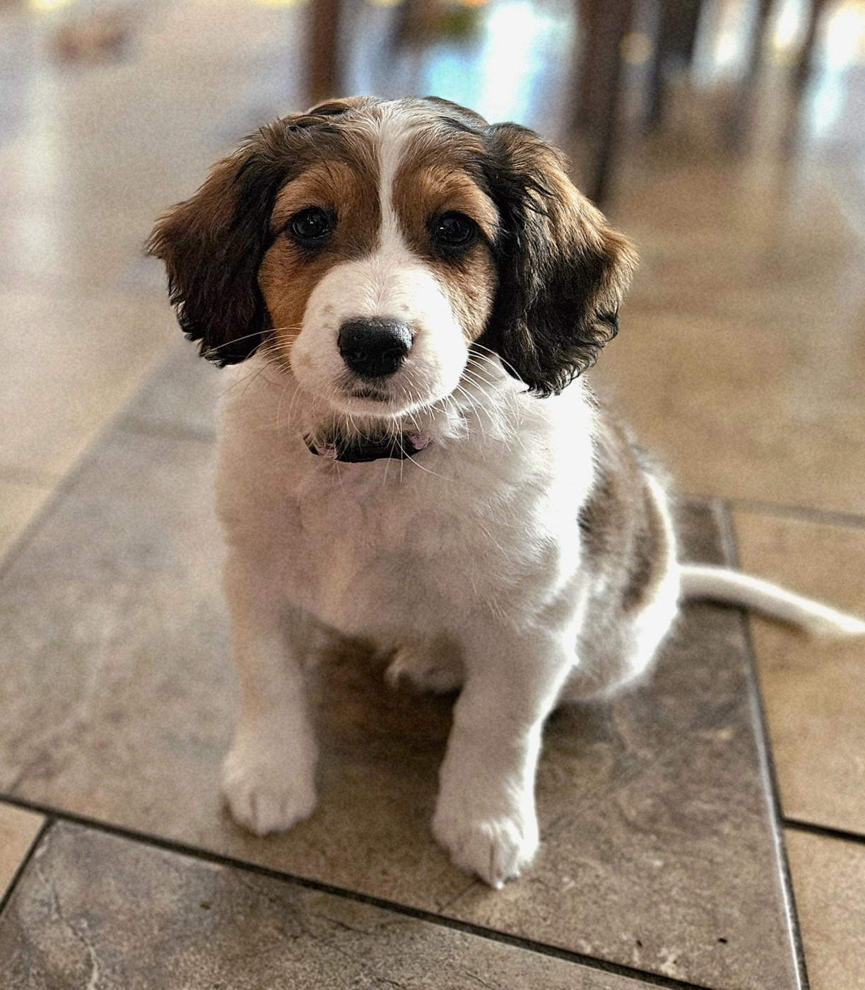 Tuffntendr Pop Up the Confetti